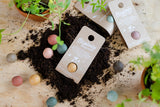 LA REINE CADEAU PAKKET HAND & VOET & PROPOLIS + GRATIS BLOEMBOMMETJE