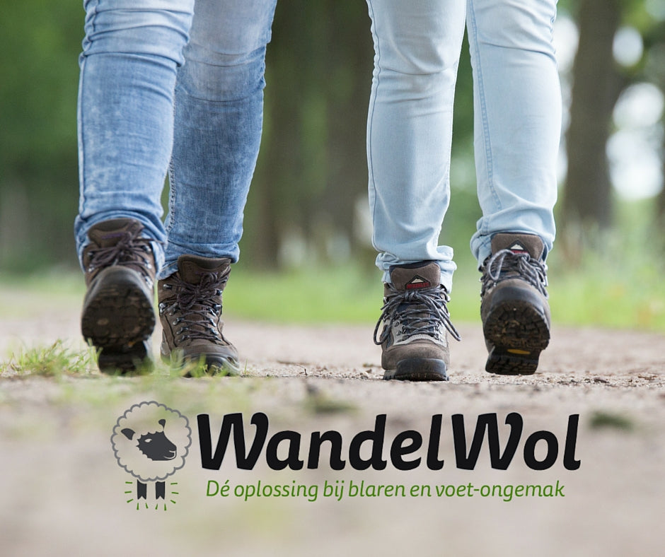 WANDELWOL ANTIDRUK-WOL 10 GRAM